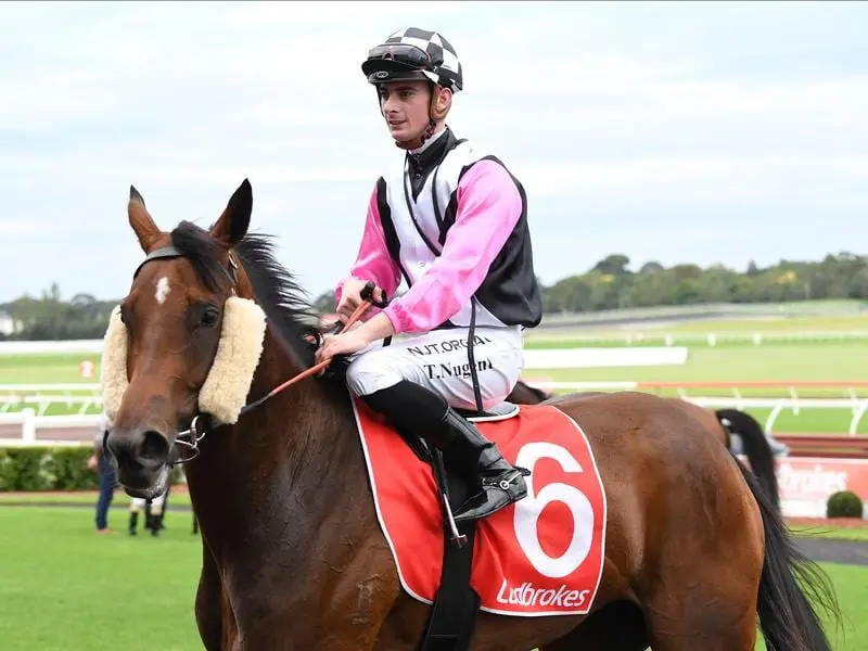 Three-year-old filly Beauty Bolt tackles mares at Flemington.