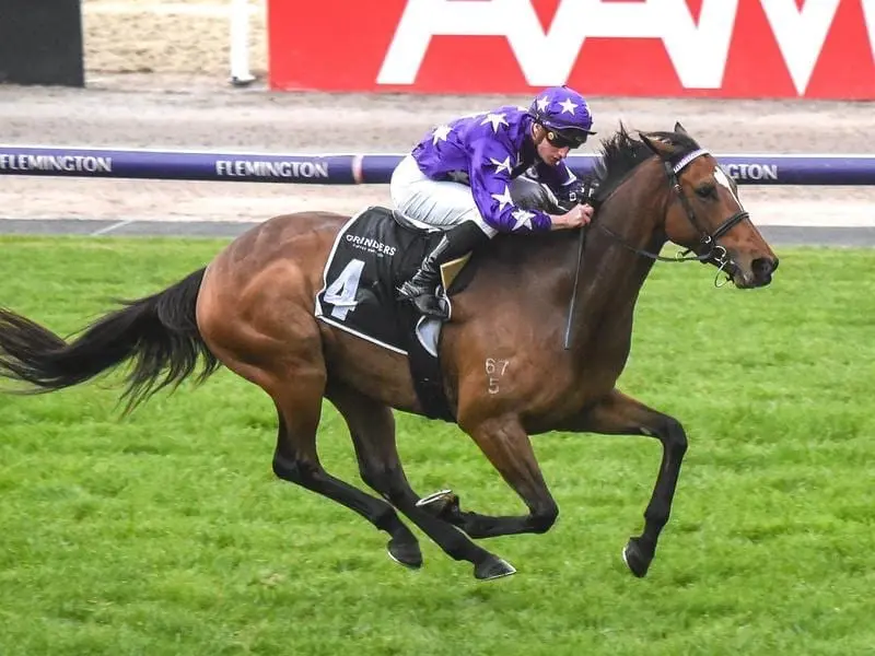 Chapada wins at Flemington, his first victory since 2018.