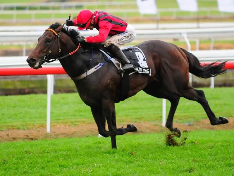 Your Song was among the best horses raced by Eduardo Cojuangco who has died at the age of 85. Group One winner Your Song.