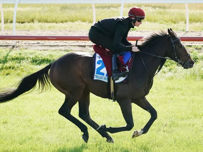 Twilight Payment won the Vintage Crop Stakes at the Currgah.