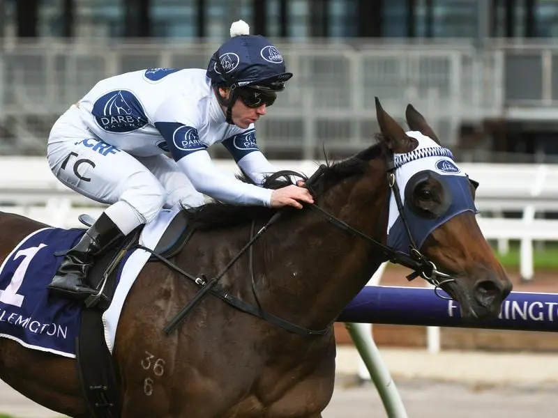 Celestial Falls will contest The Roses at Eagle Farm.