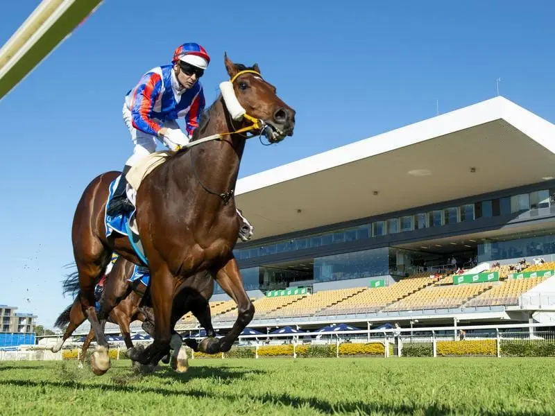 Soxagon could be headed for the Listed Glasshouse Handicap at the Sunshine Coast on July 11. Jockey Brad Stewart rides Soxagon