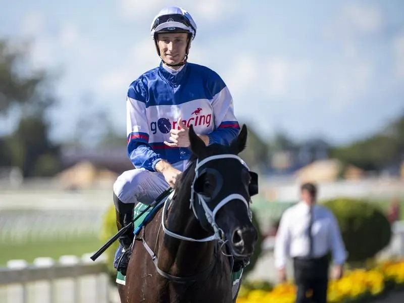 Jokey Luke Dittman returns to scale after riding Stardome to victory