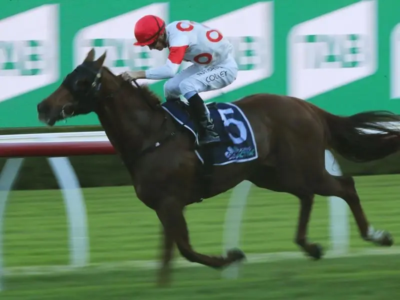 Ballet Master wins at Randwick.