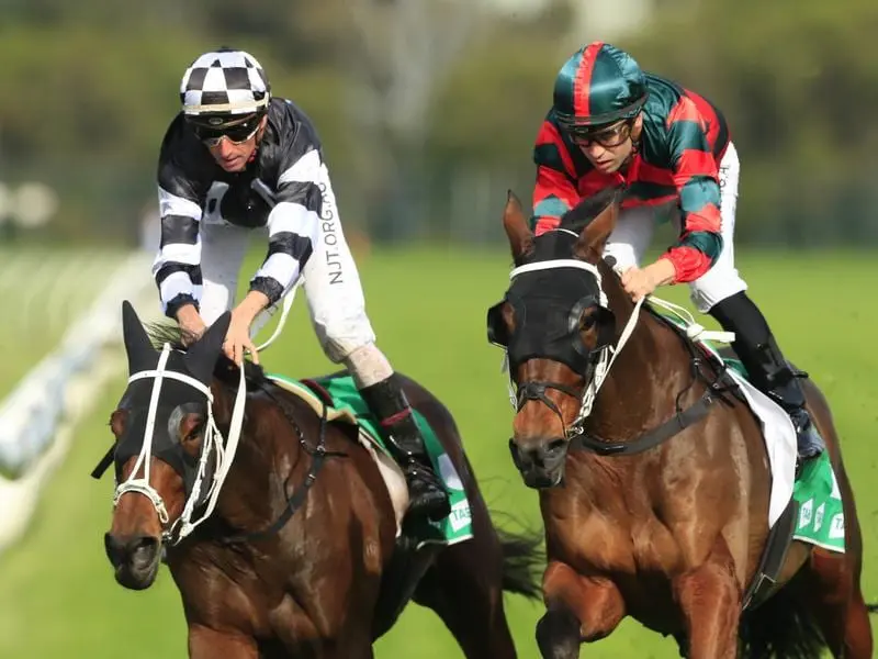 Wu Gok (right) has beaten Carzoff in the Winter Cup at Rosehill.