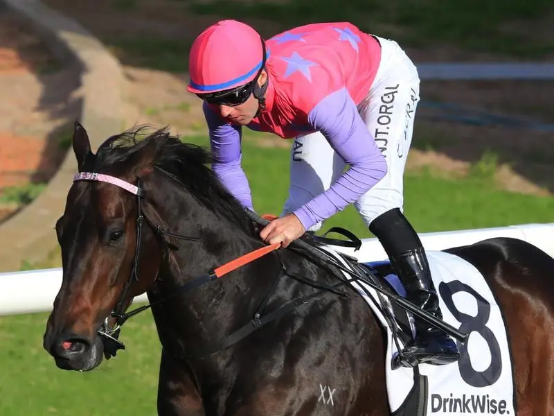 Trumbull has ended a frustrating run of minor placings to win the Listed Civic Stakes at Rosehill. Trumbull wins the Listed Civic Stakes at Rosehill.