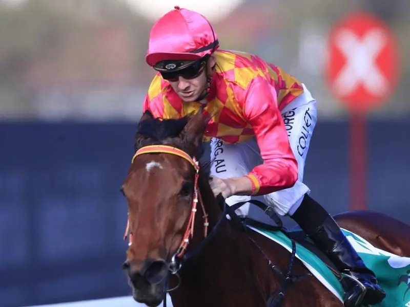 Well-bred Steel Diamond provided her trainer Rick Worthington with a boost in winning at Rosehill. Steel Diamond wins at Rosehill.