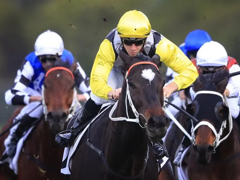 Frankely Awesome has led home a quinella for trainer Kris Lees in winning the Listed WJ McKell Cup. Frankely Awesome wins the WJ McKell Cup at Rosehill.