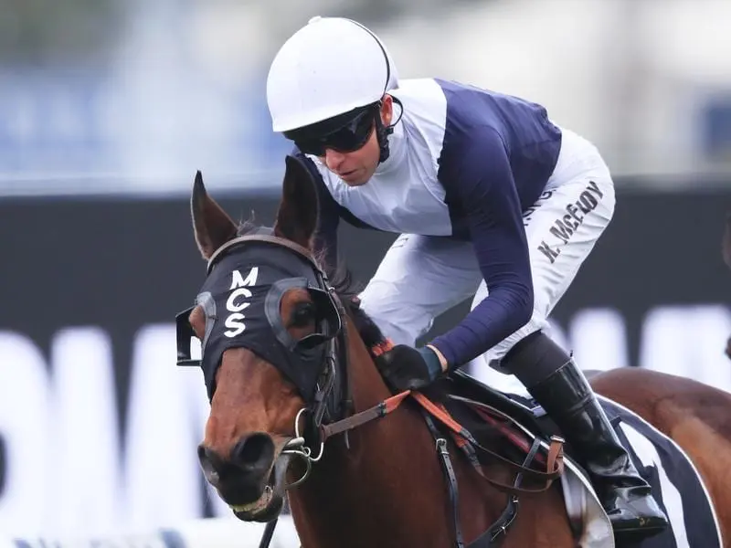 Jockey Kerrin McEvoy's record in 3200m races proved decisive as Sweet Thomas won the Stayers' Cup. Sweet Thomas wins the Stayers' Cup at Rosehill.
