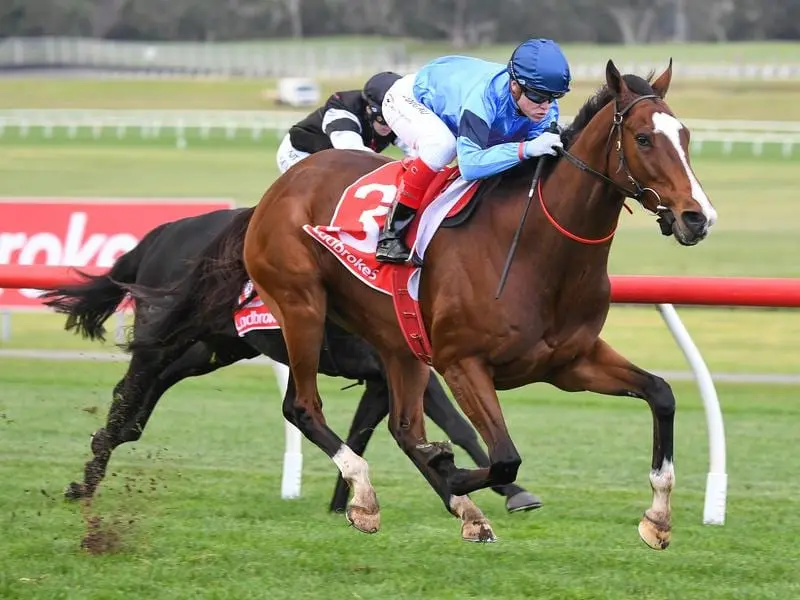 Import Bartholomeu Dias has won his first race in Australia