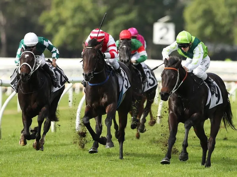 Scenic Warrior wins at Warwick Farm.