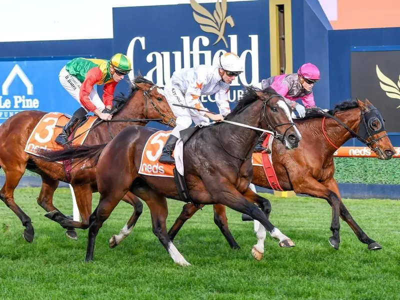 Tavisan (outside) will be given the chance to redeem himself in the Sir John Monash Stakes. Tavisan (outside) wins at Caulfield.