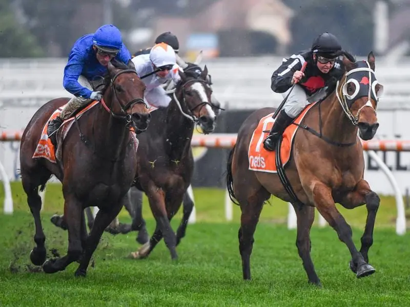 Mudlark Jungle Edge (right) has posted the 19th win of his career in the Sir John Monash Stakes. Jungle Edge (right) wins the Sir John Monash Stakes.