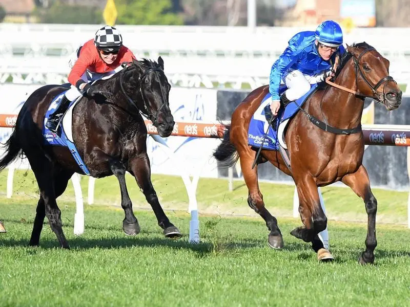 Damien Oliver rides Viridine to victory in the Bletchingly Stakes feature race at Caulfield. Viridine wins Bletchingly Stakes