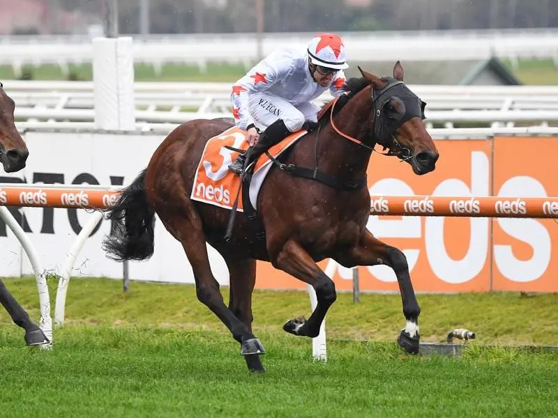 Jockey Billy Egan has kept a perfect record on juvenile Efflorescence after winning at Caulfield. Efflorescence wins at Caulfield.