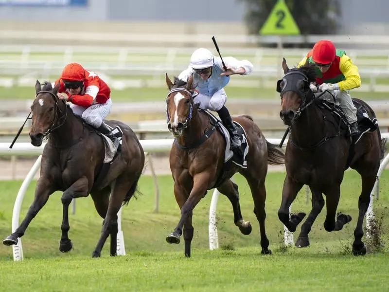 Fleet Dove (right) has claimed a tight win for trainer Kelly Schweida at Doomben. Feet Dove claims tight win at Doomben