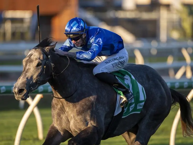 Jami Lady wins the Listed Bright Shadow at Eagle Farm.