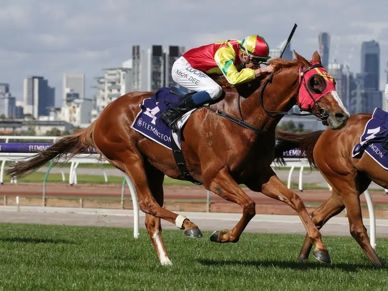 Veteran stayer Observational poised to make Brisbane debut