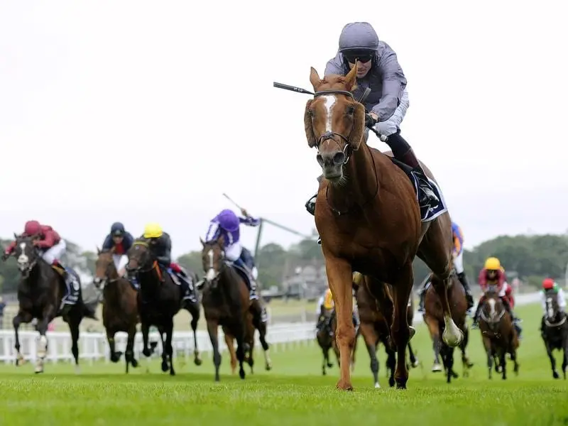 Serpentine ridden by jockey Emmet McNamara