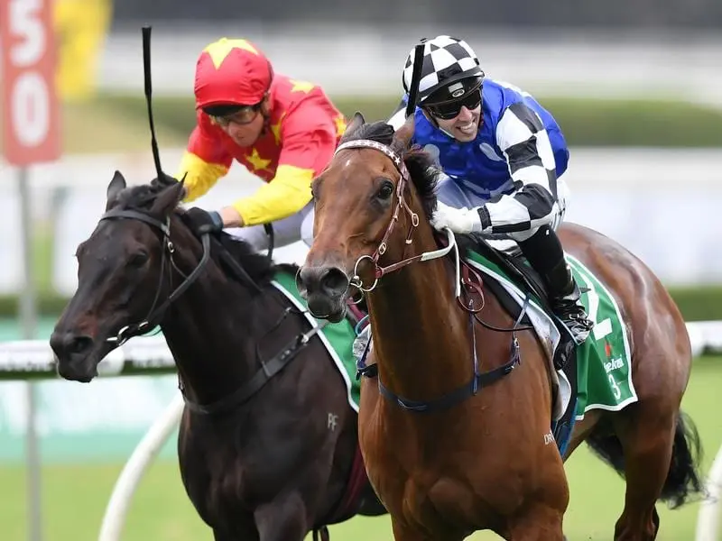 Big Duke (right) is one of two runners for trainer Kris Lees in the Grafton Cup. Big Duke and Sixties Groove target Grafton Cup for trainer Kris Lees