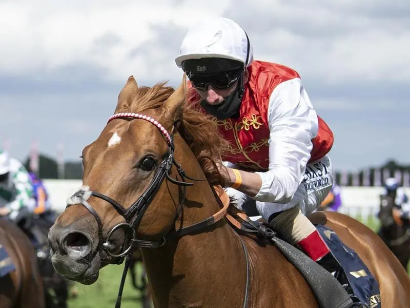 Three-year-old Golden Horde is among the leading chances in the Group One July Cup at Newmarket. Golden Horde wins the Commonwealth Cup at Royal Ascot.