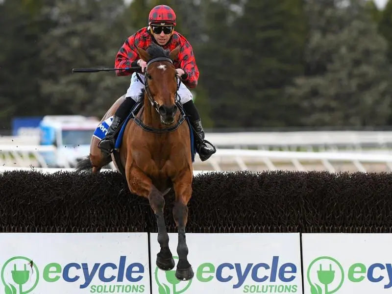 Tallyho Twinkletoe to defend Grand National Hurdle