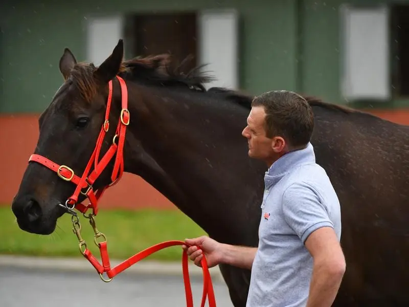 Adam Trinder is happy with Mystic Journey's first trial ahead of her race return next month. Mystic Journey