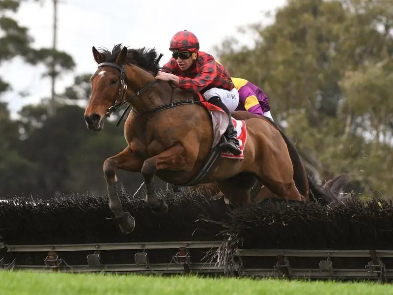 Tallyho Twinkletoe to lug heavy weight in Grand National Hurdle