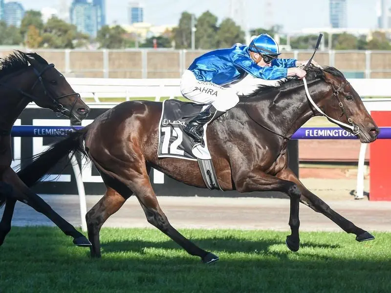 Andrew Ramsden winner Oceanex has started her preparation for a Melbourne Cup start. Oceanex wins The Andrew Ramsden at Flemington.