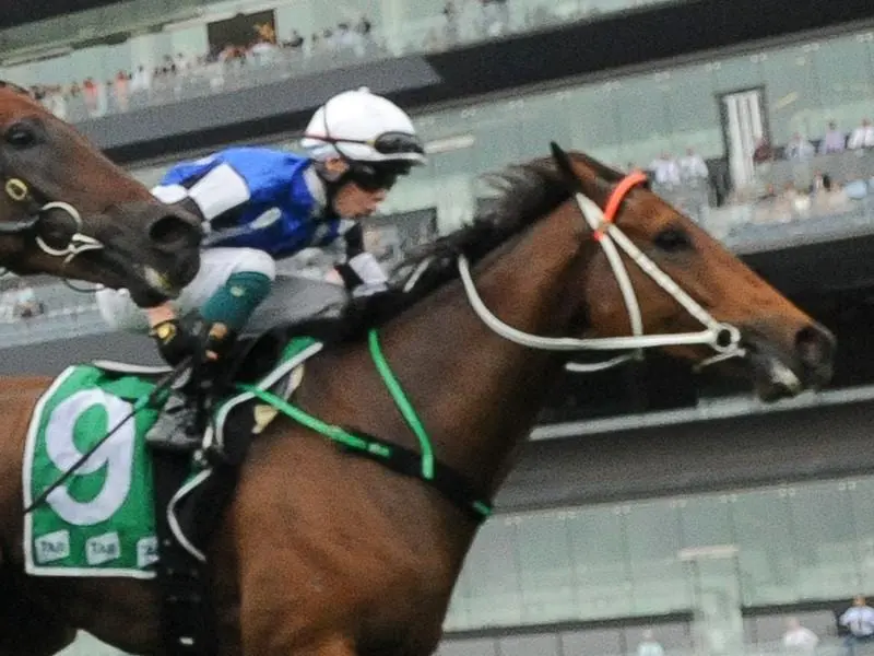 Mugatoo wins the Coopers Hotel Newtown Handicap