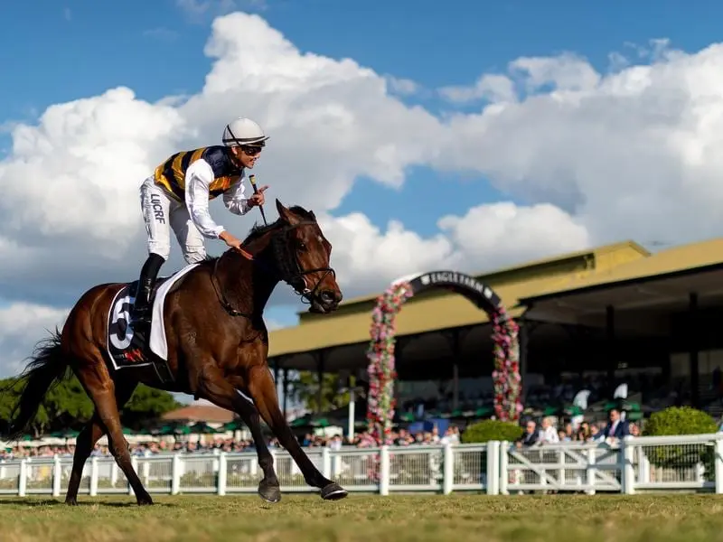 Matthew McGillivray rides Azuro to victory in the Queensland Cup