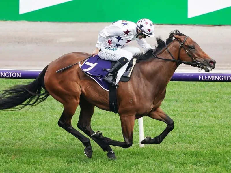 Sunlight winning the Gilgai Stakes at Flemington.