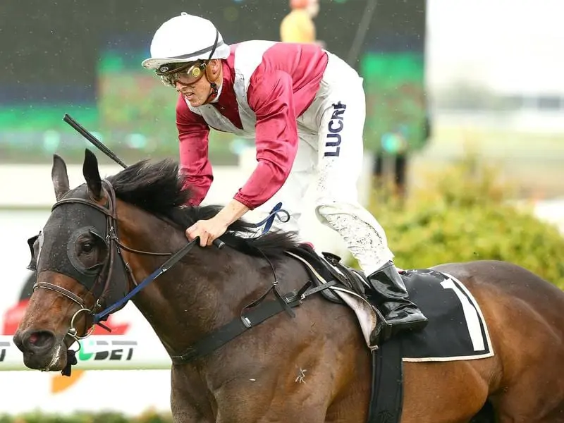 Mr Bellagio seeks his first black-type win in the Listed Eye Liner Stakes at Ipswich. Mr Bellagio tackles Listed Eye Liner Stakes