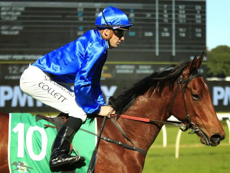 Tailleur returns to scale after winning at Randwick.