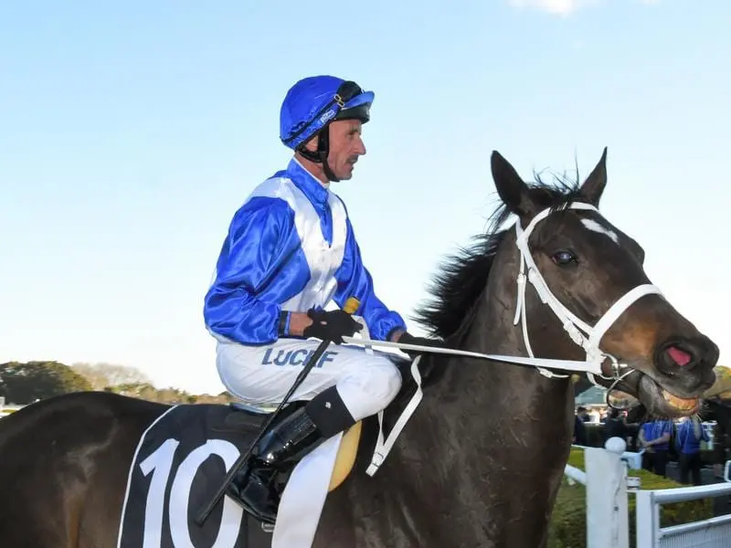 Girl Tuesday will contest the Winter Stakes for new trainer Clarry Conners and owner John Singleton. Girl Tuesday.