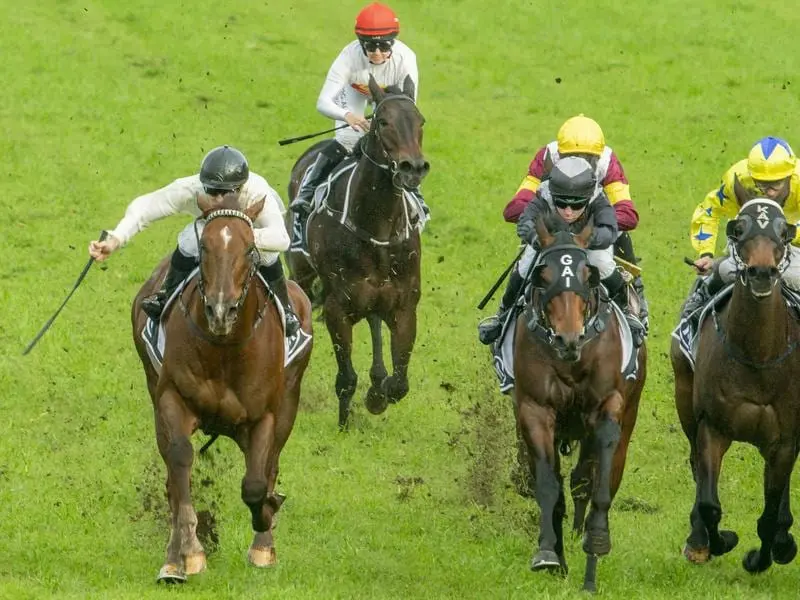 Noble Boy (left) has rediscovered winning ways for a new stable in claiming the Winter Stakes. Noble Boy (left) takes out the Listed Winter Stakes.
