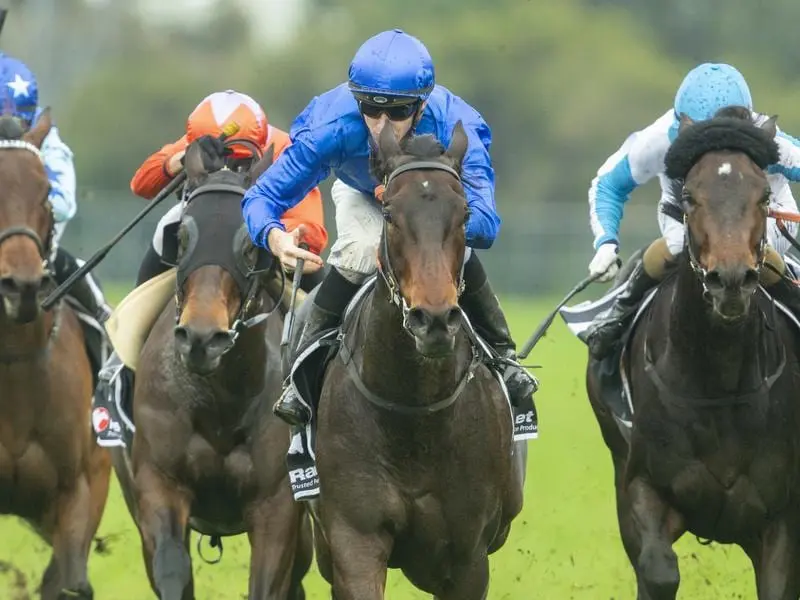 Varda (centre) wins at Rosehill.