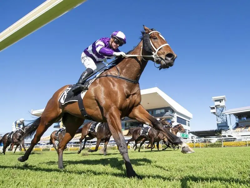 Champion trainer Chris Waller is seeking a sentimental win in the Winx Guineas with Starla. Chris Waller-trained Starla aims for Winx Guineas success
