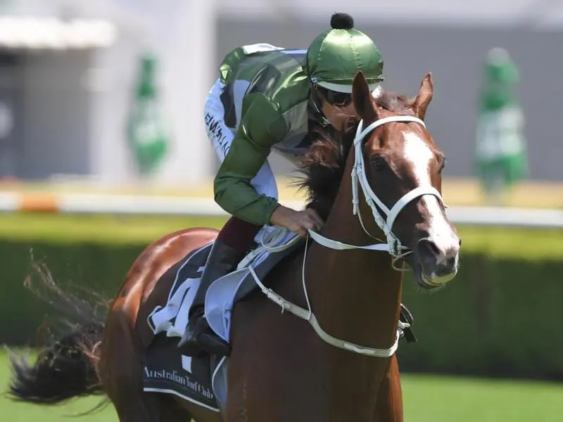 Kings Will Dream is set to be trainer Chris Waller's first stakes runner of the Melbourne season. Kings Will Dream