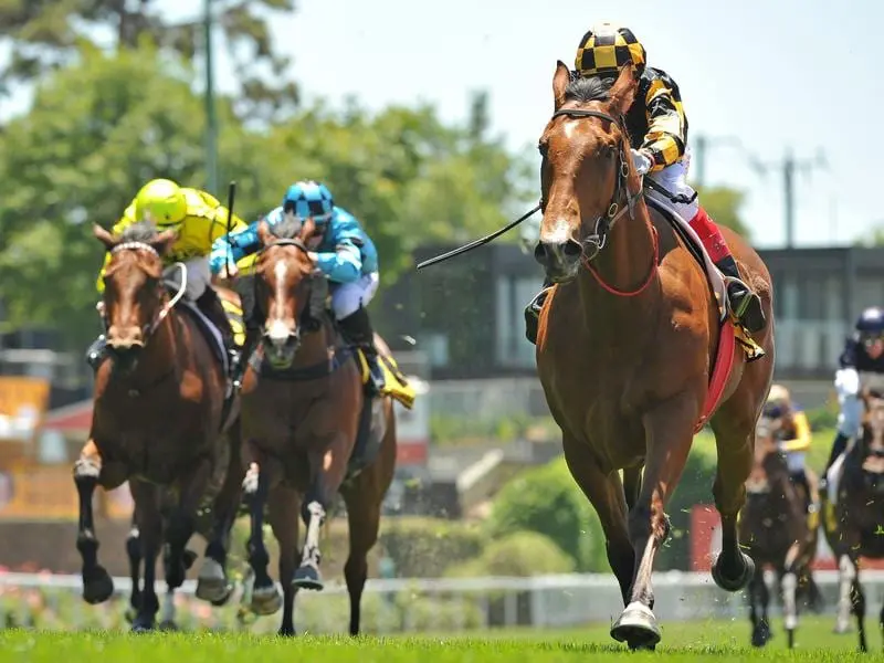Adelaide gelding Behemoth has scored his biggest win in the Group One Memsie Stakes at Caulfield. Behemoth
