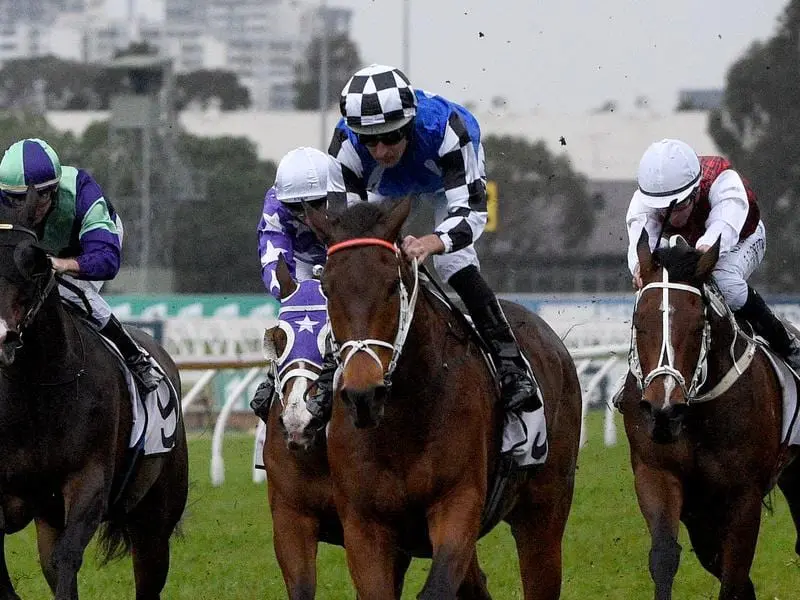 The Metropolitan Handicap is on the radar for Mugatoo after his Rosehill victory. Mugatoo
