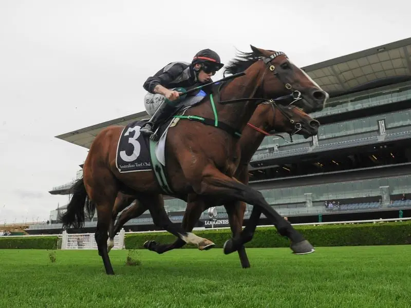 Splintex will face his acid test when he is pitted against Everest fancy Nature Strip at Randwick. Splintex