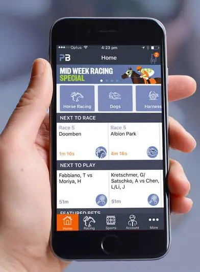 Palmerbet mobile app