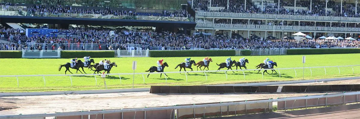 The Championships Horse race