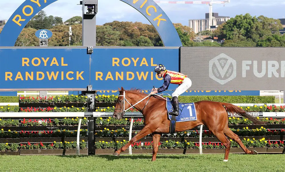 2022 TJ Smith Stakes