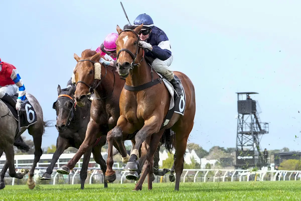 Point King winning Archer Stakes