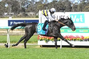 Sea King wins Bendigo Cup 2024