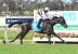 Sea King wins Bendigo Cup 2024