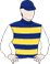Sea King silks