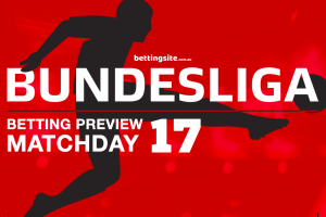 Bundesliga Matchweek 17 tips